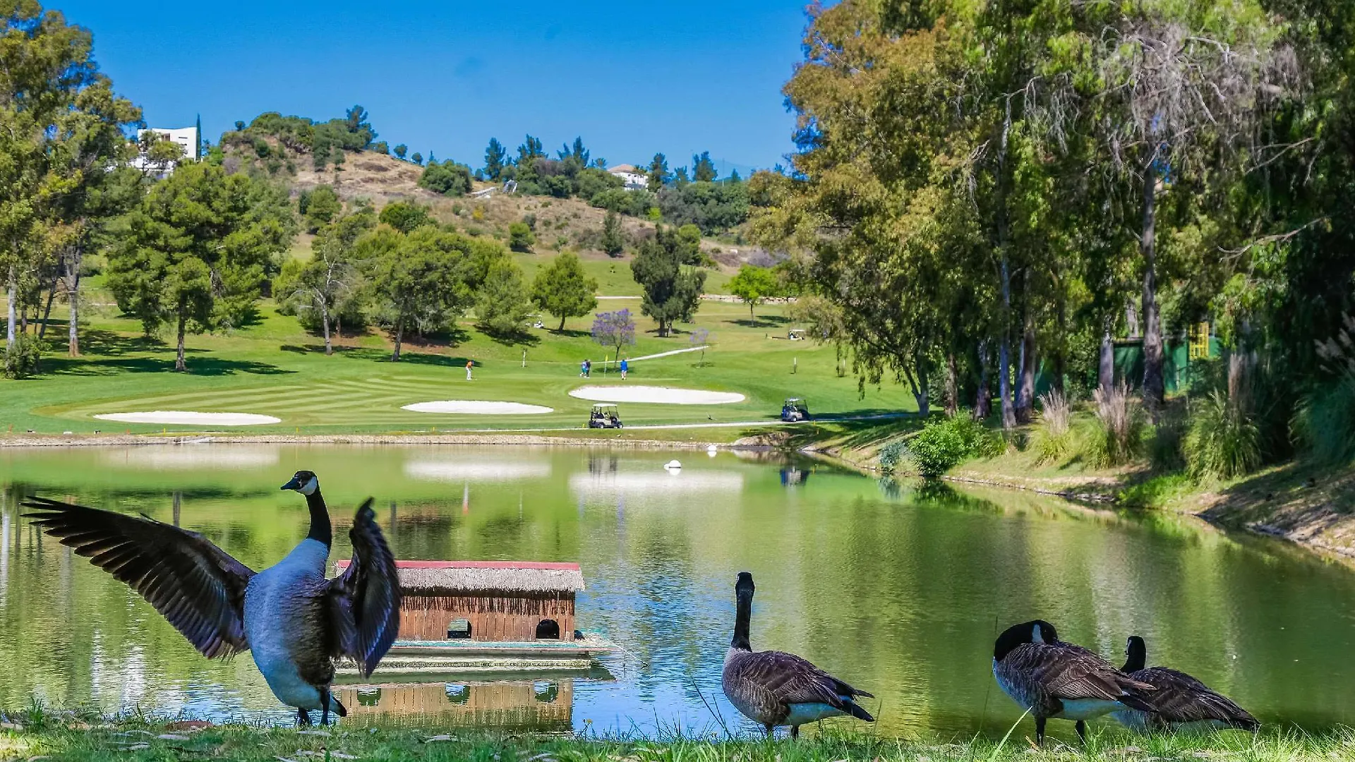מלון Sol Marbella Estepona Atalaya Park